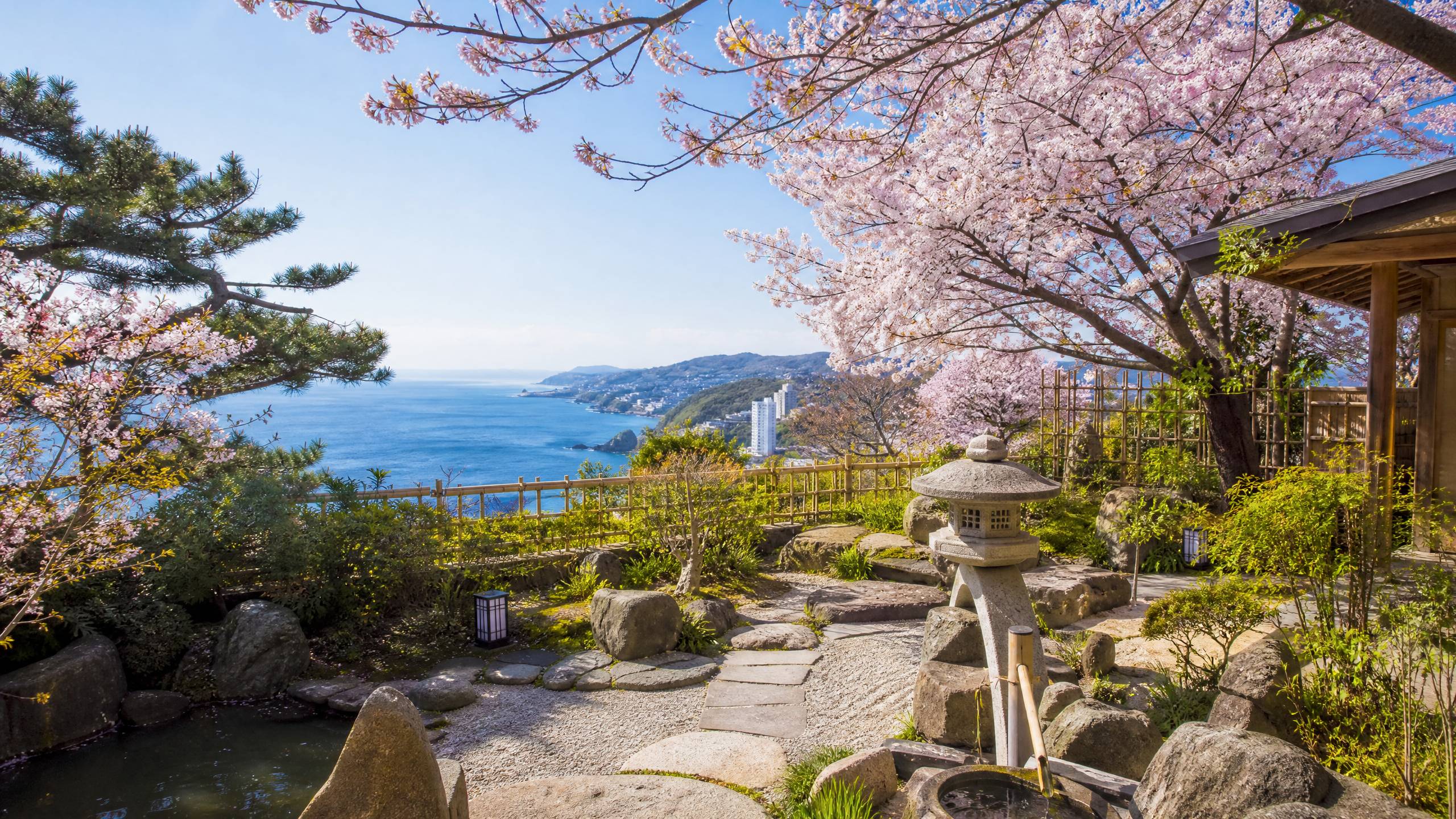 海角社区日式庭院植物视频